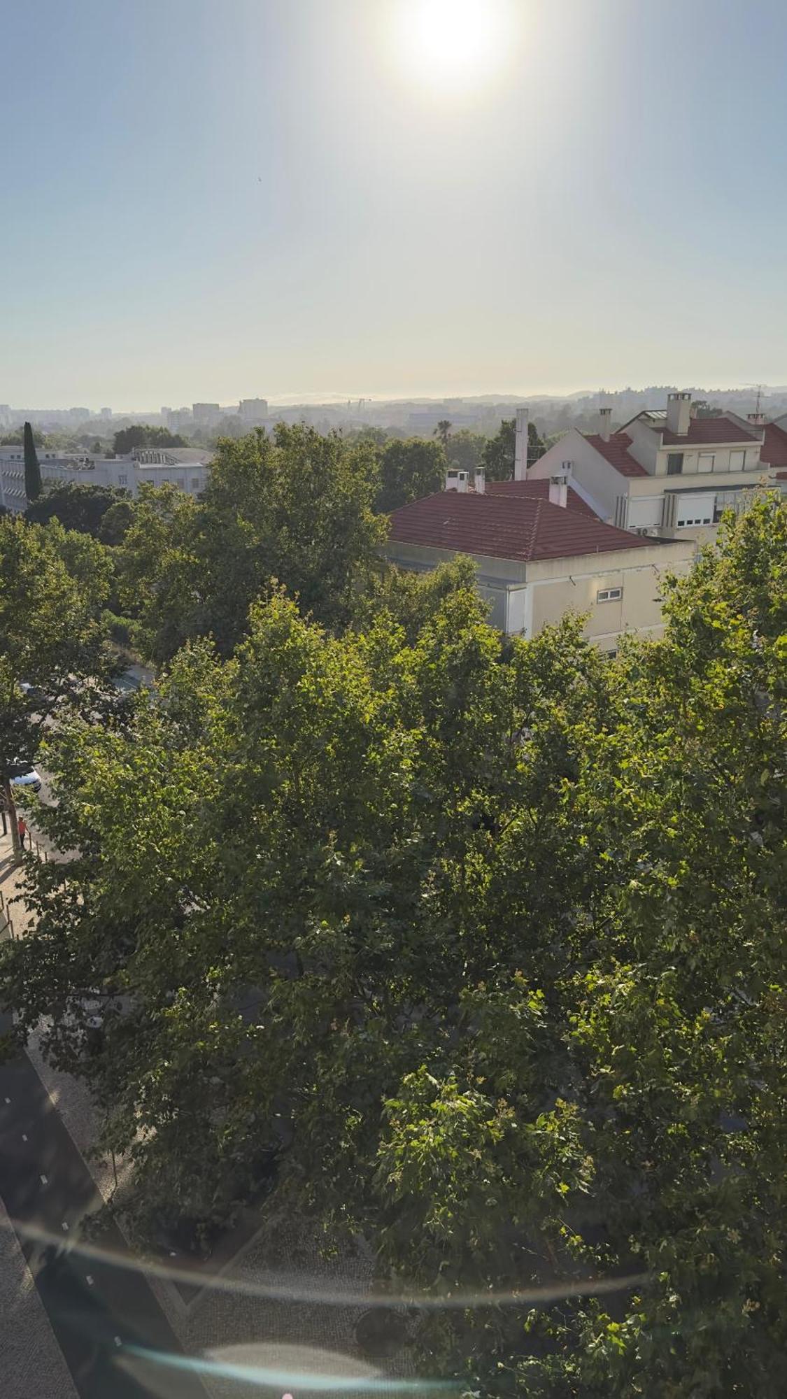 Room Alvalade Lisboa 外观 照片